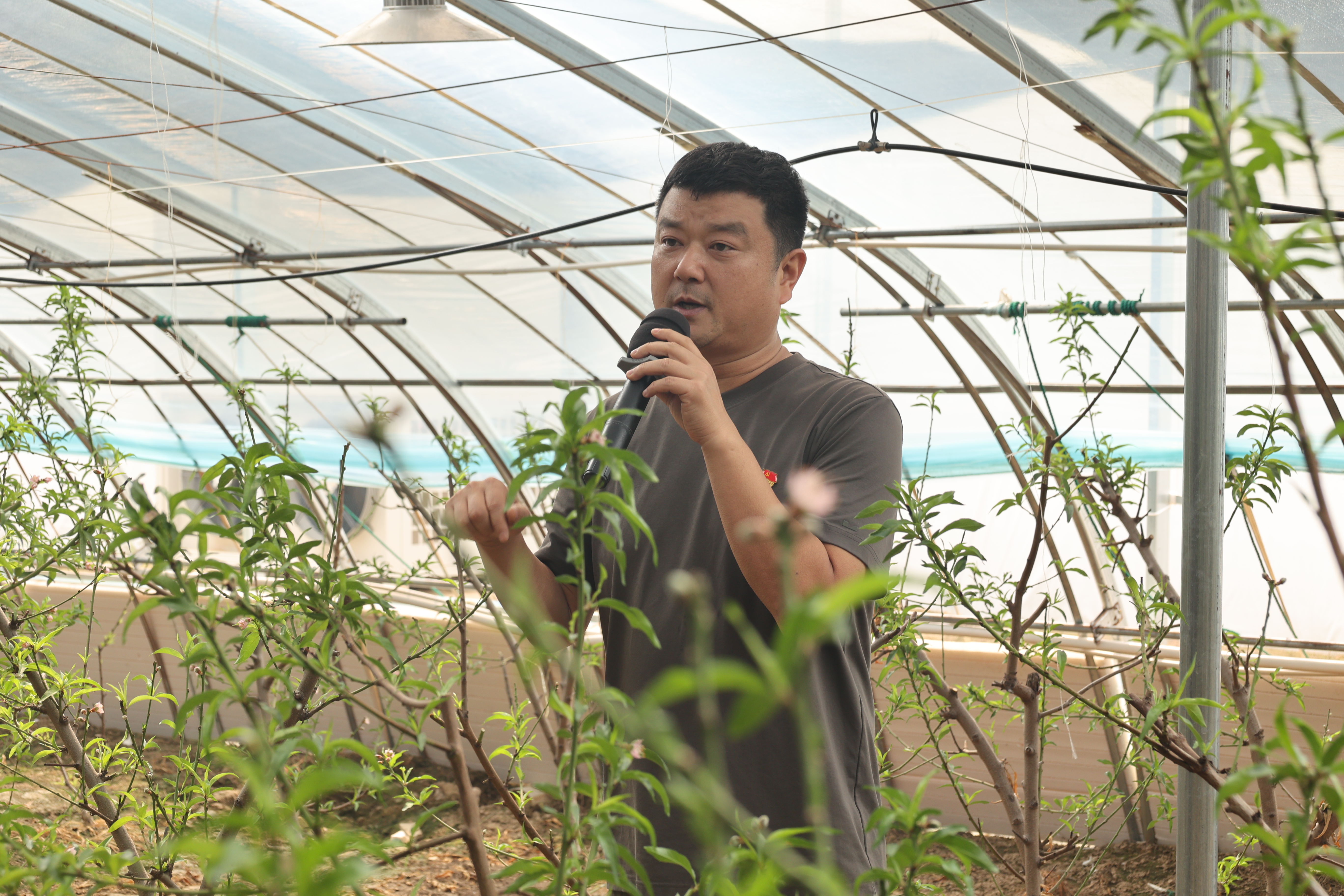 CA88(中国)唯一官方网站入口